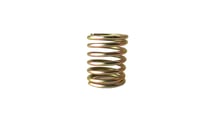 NT10 Valve spring NT1001-003