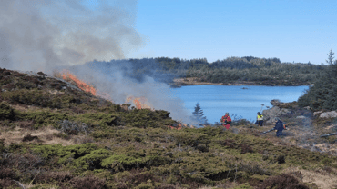 – Kyst-Norge nærmest skriker etter kystlyngbrenning