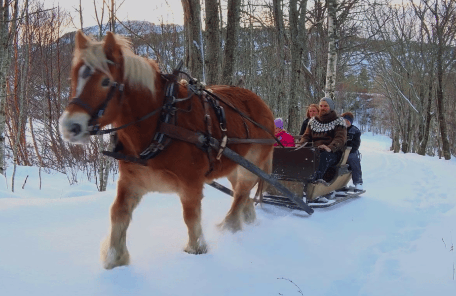 FILM: Et lite vintereventyr!